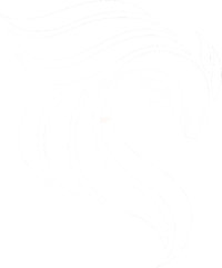 coyotefish digital